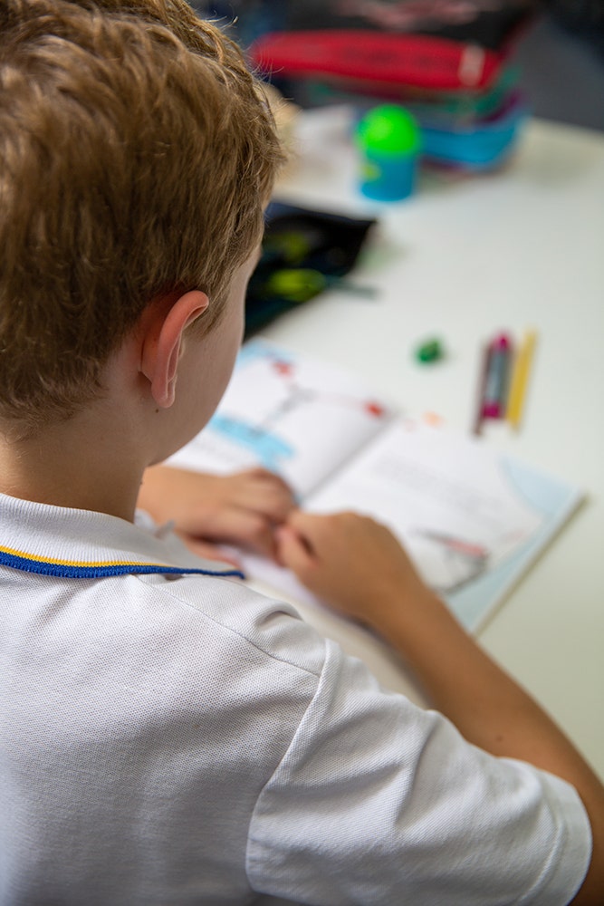 Photo of a boy with book